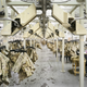 Image for article titled Photos: A rare glimpse of the stunning colors inside the United States’ forgotten textile mills